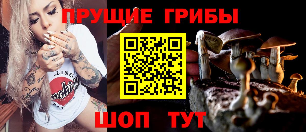 Санкт-Петербург  Галлюциногенные грибы GOLDEN TEACHER  Вход с VPN 
